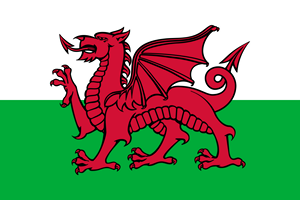 Vlag Wales
